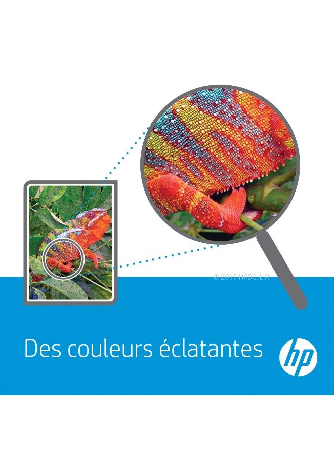 HP خرطوشة تونر لطابعة ليزر جيت برو أرجواني - Image 3