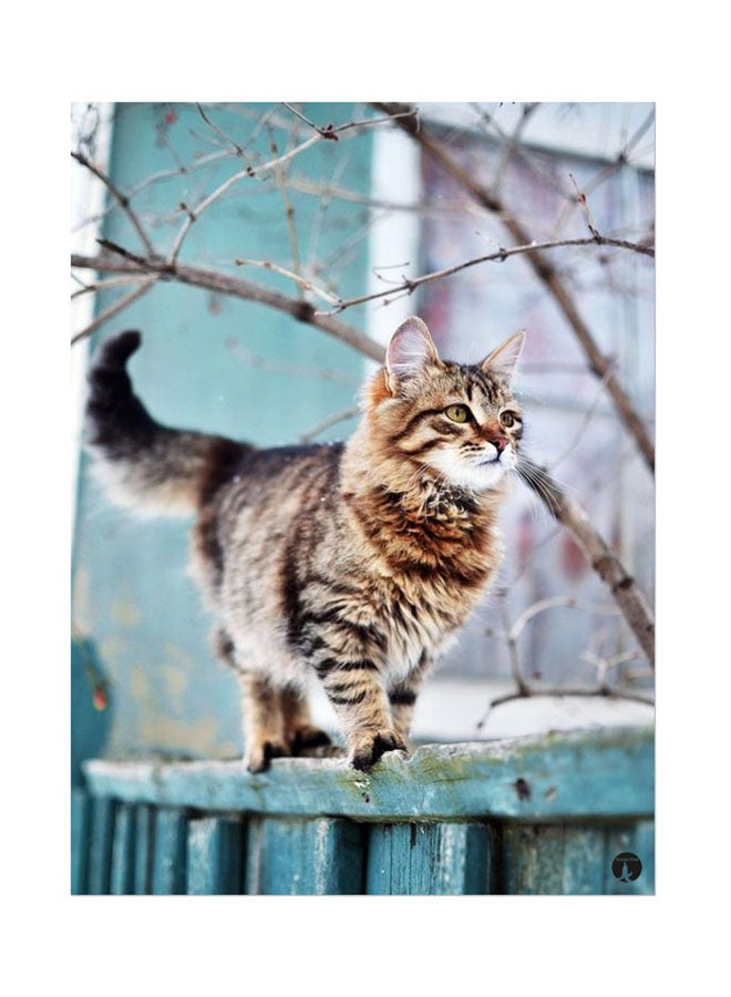 BP Metal Plate Of A Cat Poster Multicolour