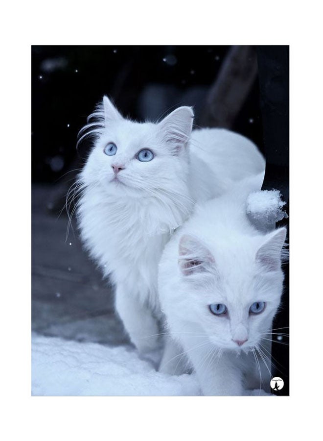 BP Cats Metal Plate Poster Black/White