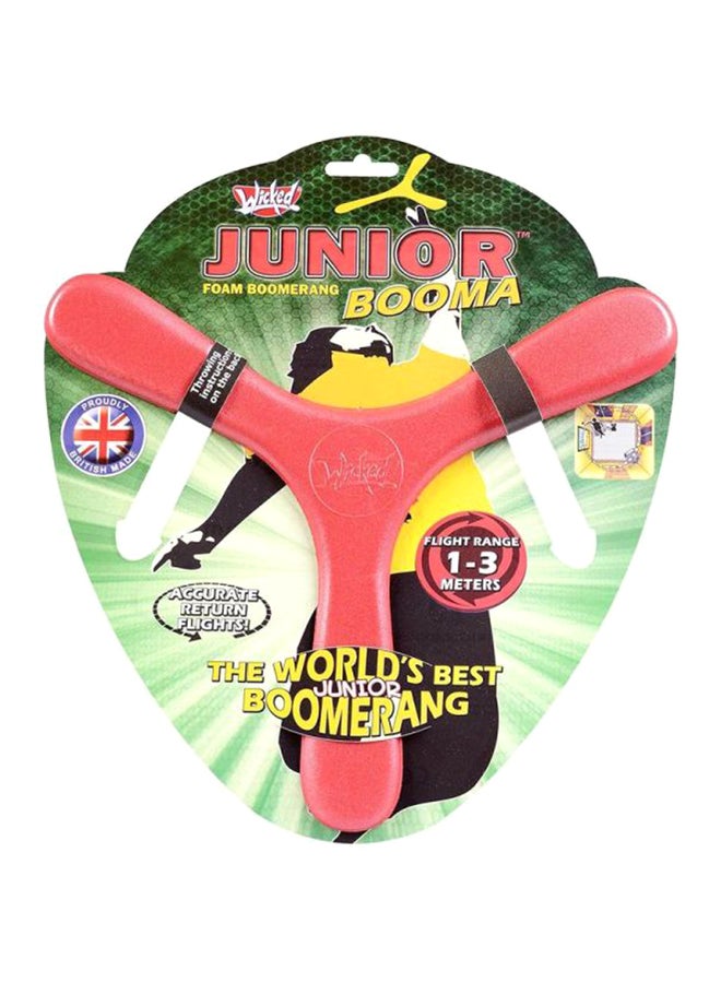 Outdoor Boomerang Toy
