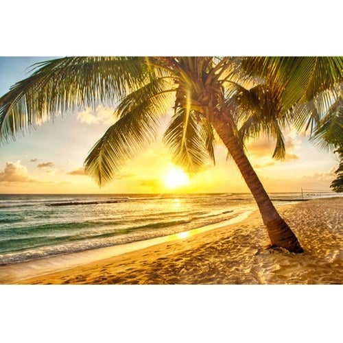 3D Seascape Beach Pattern Background Backdrop Brown/Green/Yellow  - Image 3