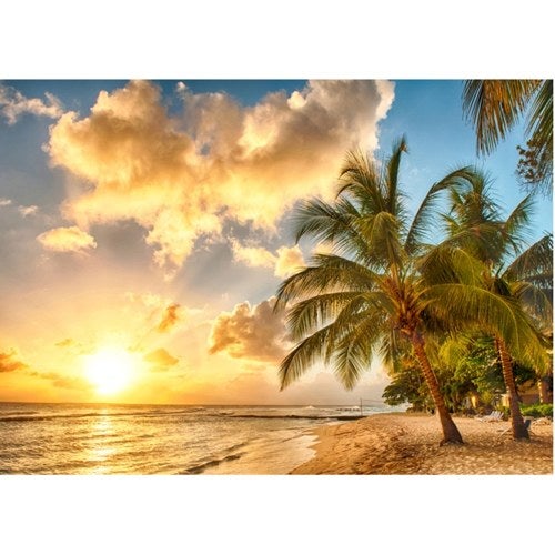 3D Seascape Beach Pattern Background Backdrop Brown/Green  - Image 3