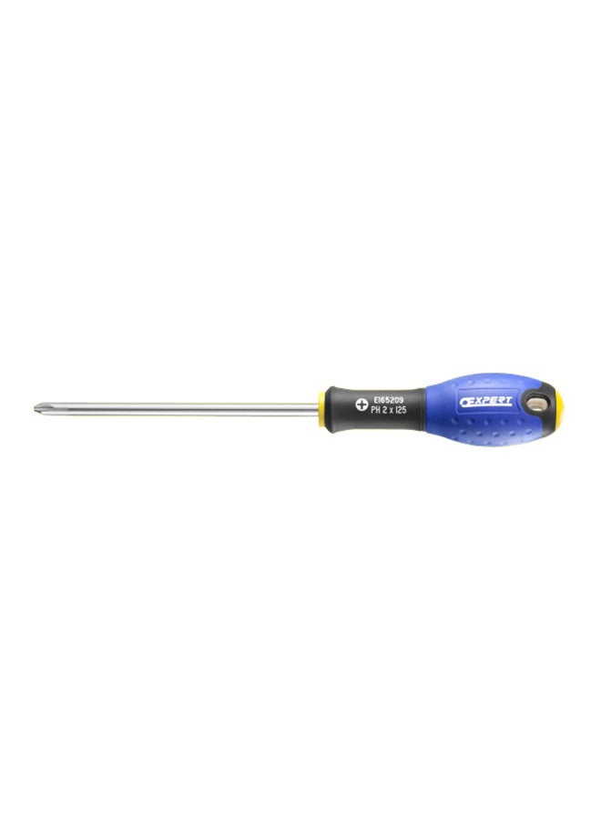 EXPERT Phillips Screwdriver Multicolour
