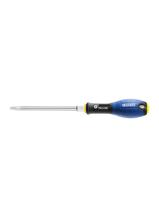 EXPERT Ph2 Hex Head Screwdriver Multicolour