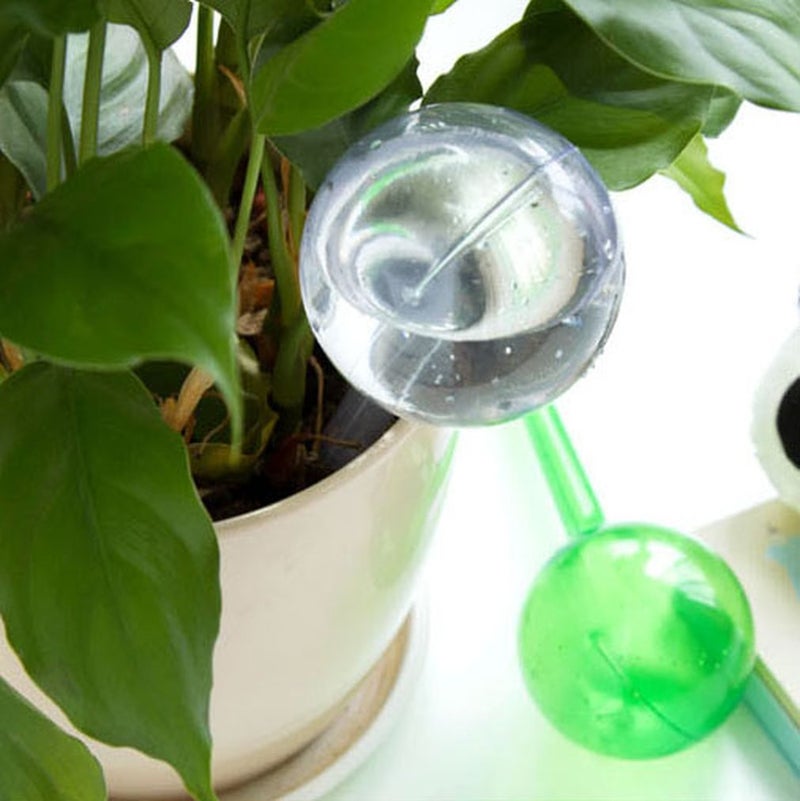 Generic Glass Ball Plant Flowers Watering Device Clear  - Image 4