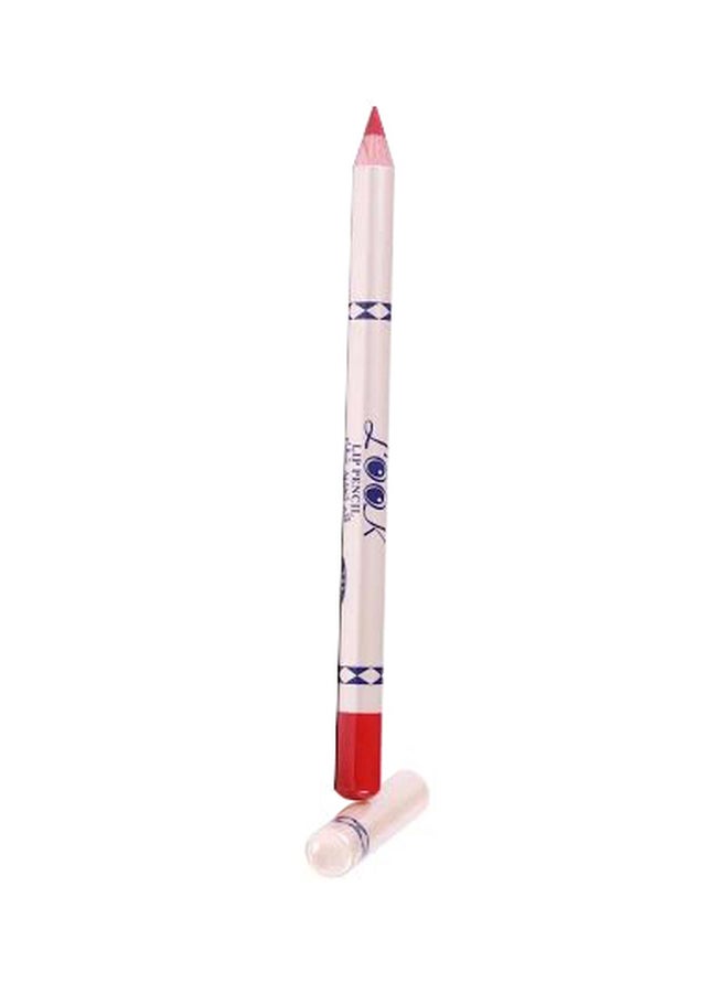 Lip Pencil 241