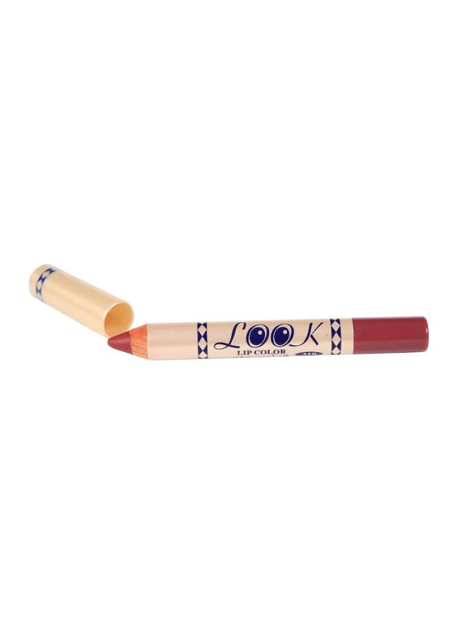 Lipstick Pencil 310