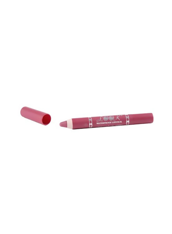 Waterproof Lipstick Pencil 1311