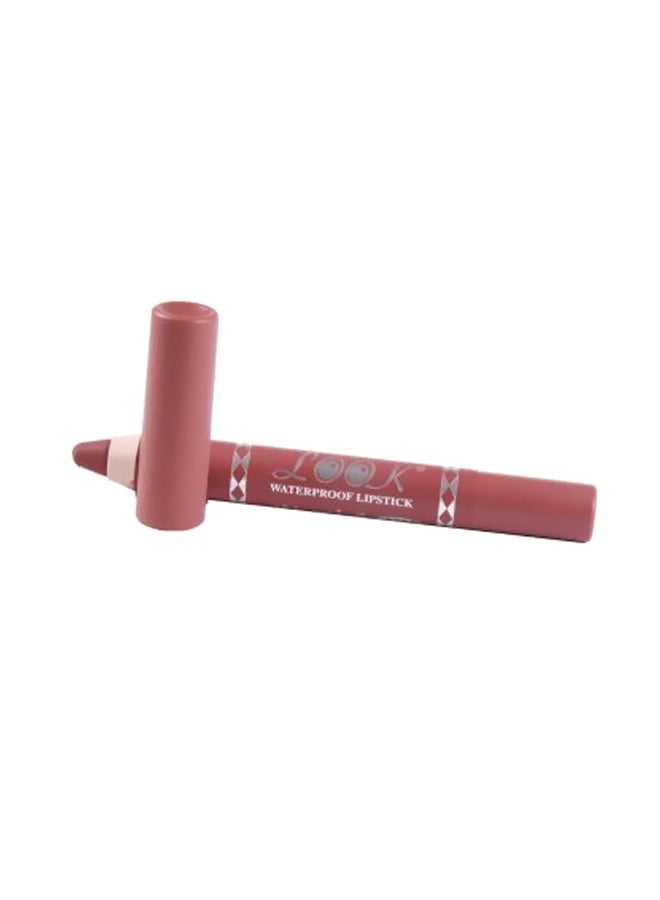 Waterproof Lipstick Pencil 1314