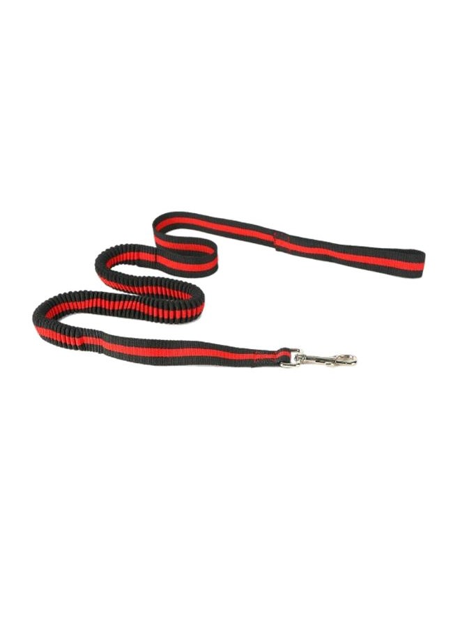 Adjustable Retractable Leash Red/Black