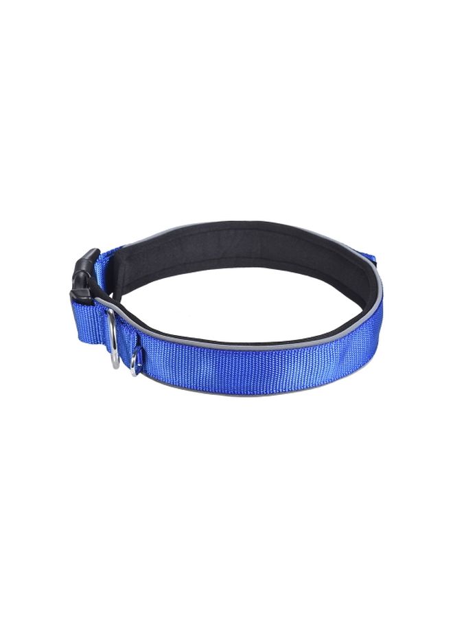 Adjustable Dog Collar Blue - Image 3