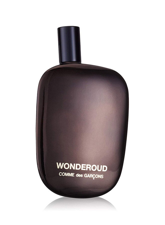 COMME DES GARCONS Wonderoud EDP 100ml - Image 2