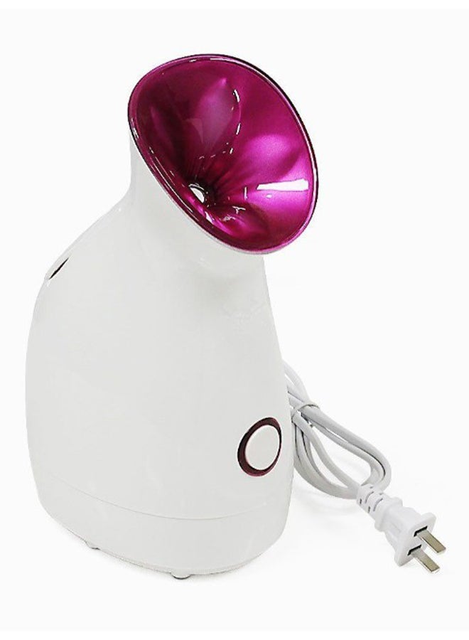 FLYMEI Nano Ionic Facial Steamer  - Image 1