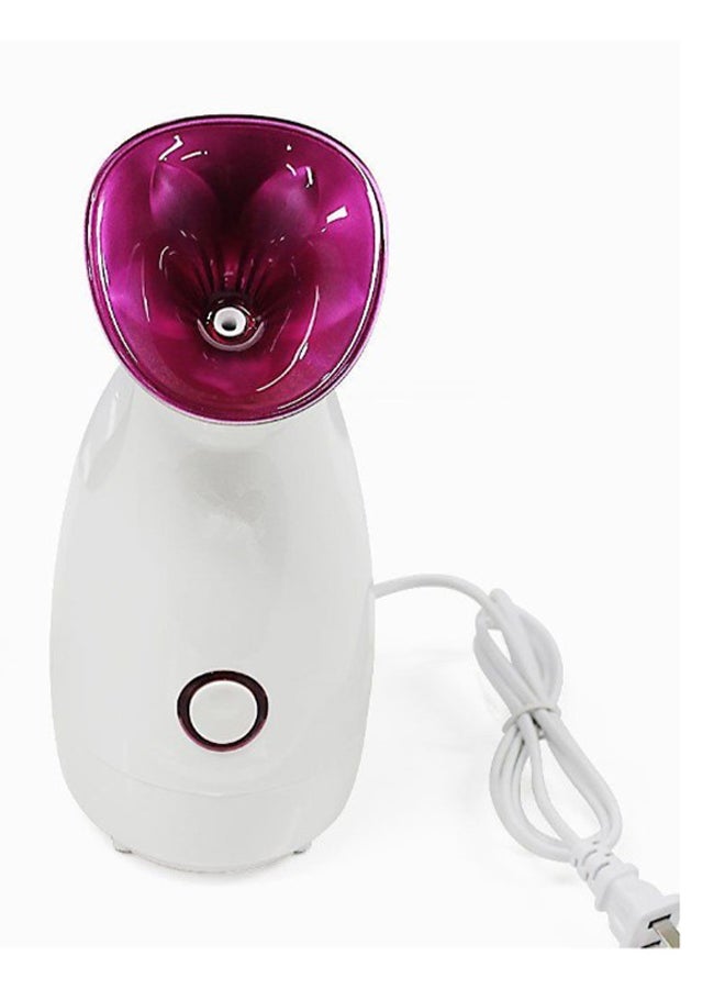 FLYMEI Nano Ionic Facial Steamer  - Image 2