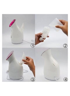 FLYMEI Nano Ionic Facial Steamer  - Image 3