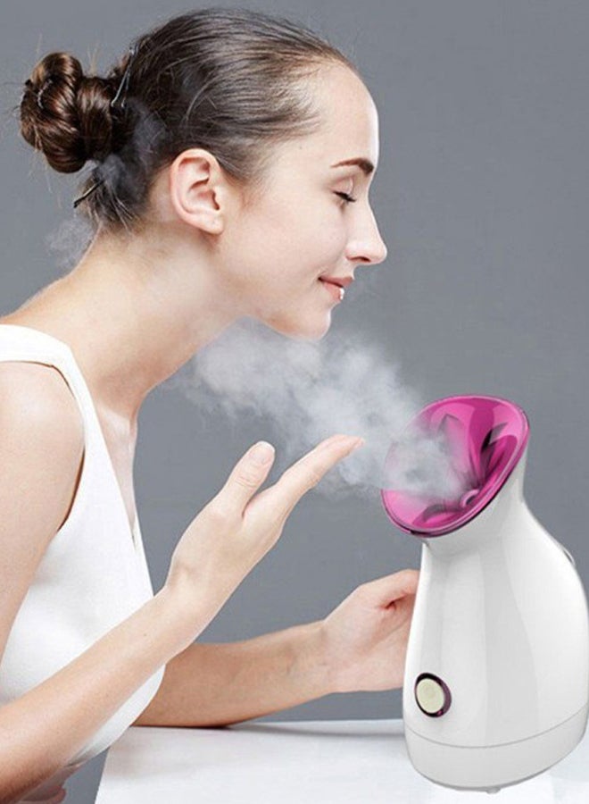 FLYMEI Nano Ionic Facial Steamer  - Image 4