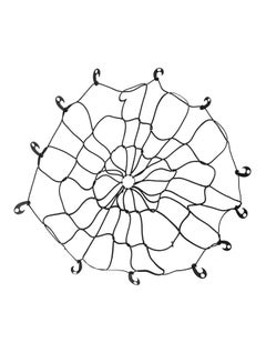 Autoplus Cargo Spider Web Net – 30” x 40” 