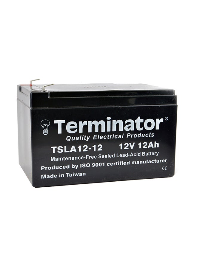 Terminator Sealed Lead-Acid Battery 