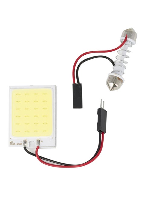 LED 24Y Bulb