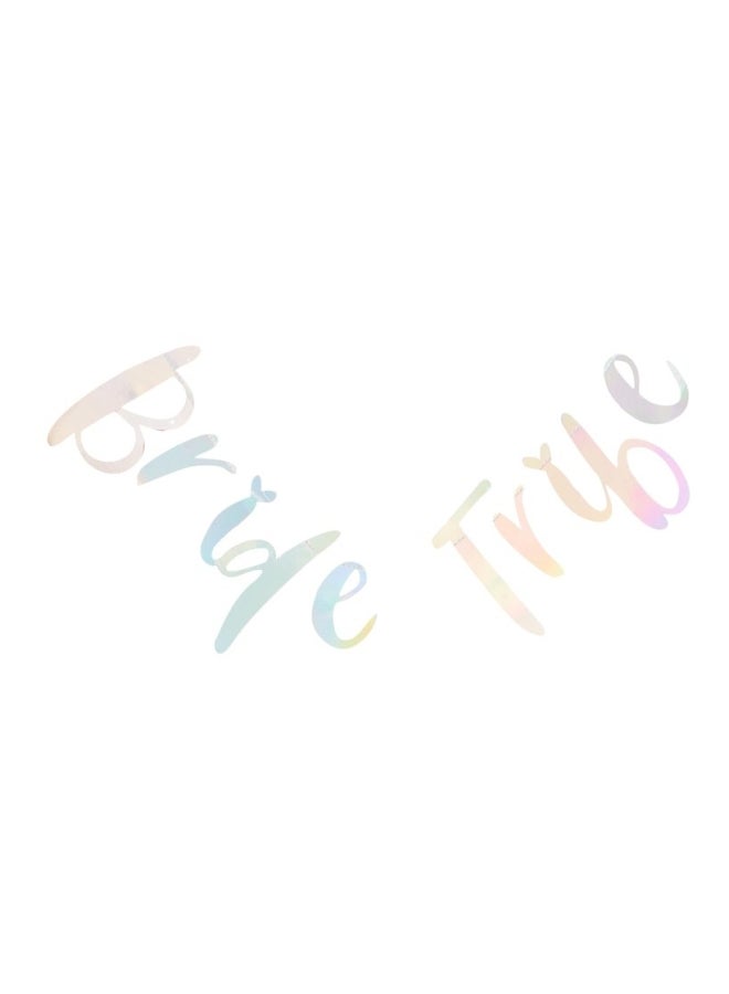 Ginger Ray Iridescent Bride Tribe Hen Bunting Banner 1.5meter - Image 1