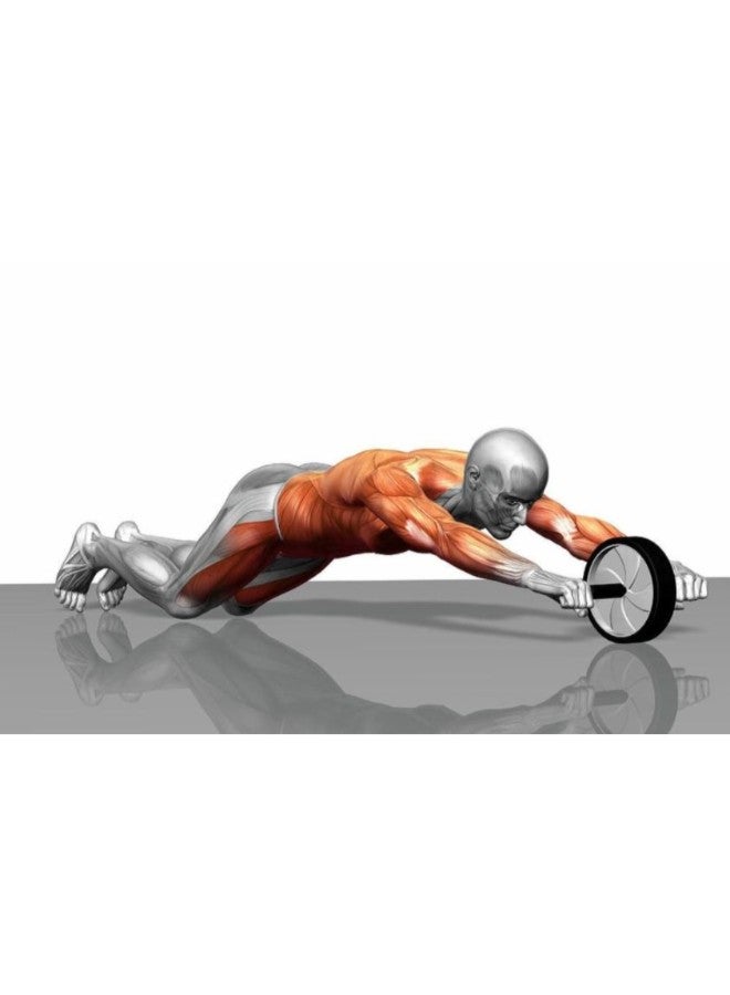 Ab Wheel Roller Abdominal Trainer With Knee Mat - Image 2