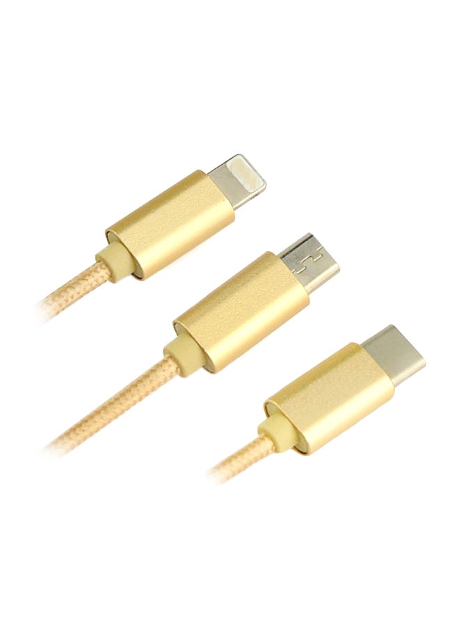 3-In-1 Aluminum Multifunction Data Cable Gold