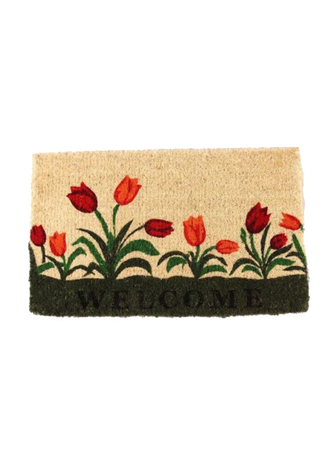 Non-Slip Durable Doormat Multicolour 1X18X30inch
