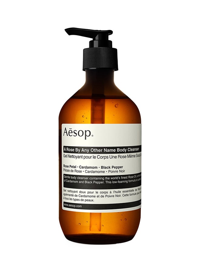 أيسوب غسول الجسم أروز باي أني أذر نيم 500ملليلتر