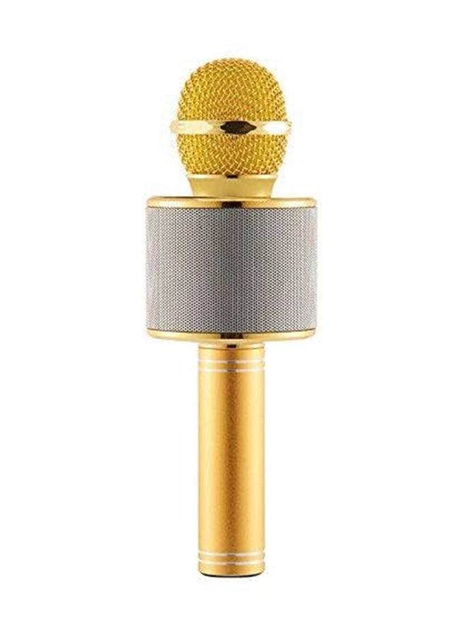 Generic Wireless Karaoke Microphone WS-858 Gold/Silver 