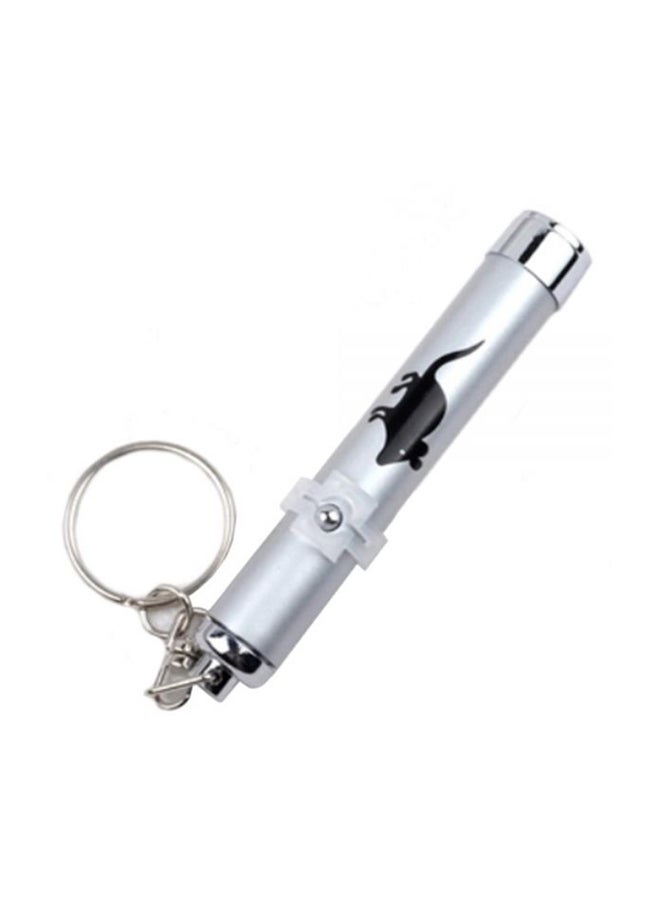 Laser Pointer Pen Toy Silver 4 centimeter - Image 1