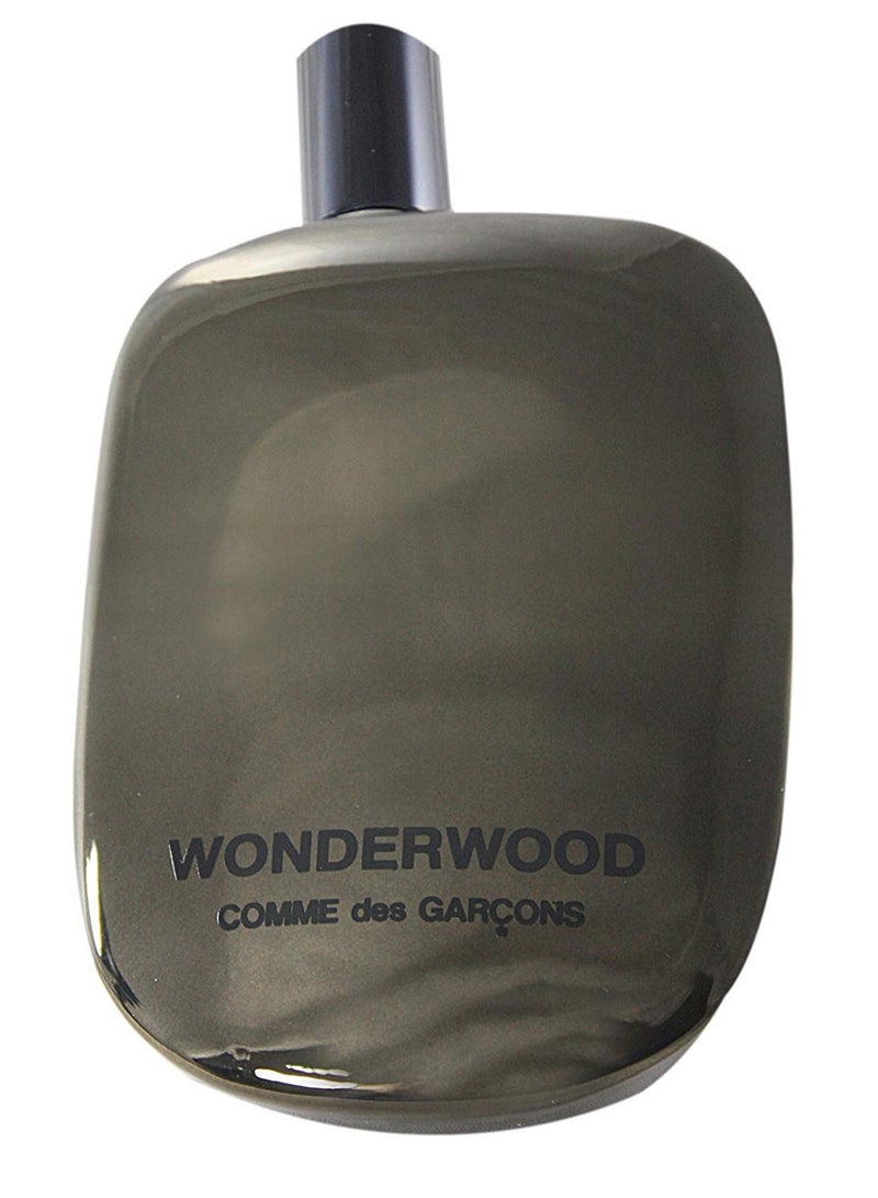 COMME DES GARCONS Wonderwood EDP 100ml - Image 1