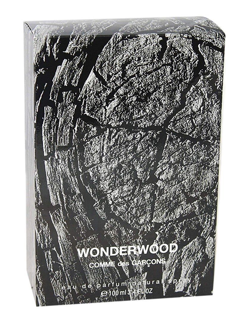 COMME DES GARCONS Wonderwood EDP 100ml - Image 2