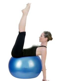 Generic Gym Exercise Swiss Fitness Pregnancy Birthing Injury Sciatica Yoga Ball  - Image 1