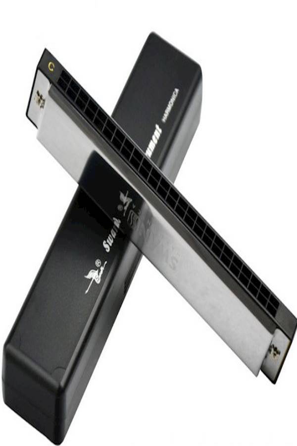 Generic 24-Hole Harmonica  - Image 3