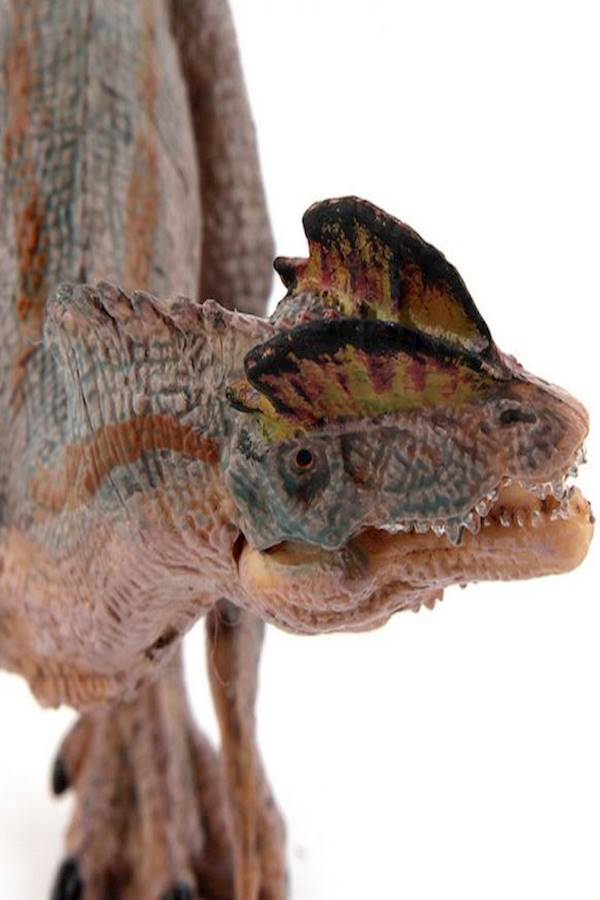 Dilophosaurus Dinosaur Toy Model - Image 5