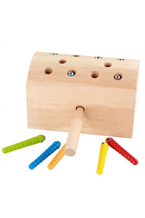 Magnetic Catch Insects Game