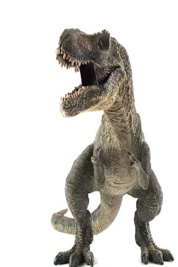 Wild Life Dinosaur Toy - Image 2