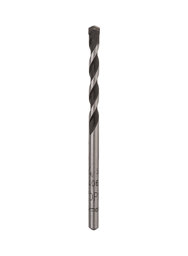 BOSCH Natural Stone CYL-9 Silver  - Image 3