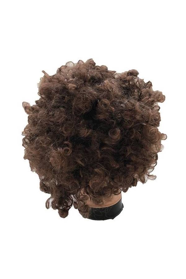 Generic Dazzle Colour Afro Wig Children Adult Antics Tire Ancient Wedding Party Funny Fans Wig Brown - Image 3