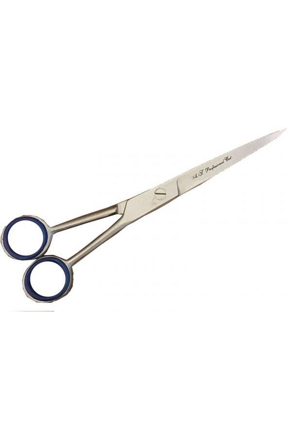 Salon Scissors Silver