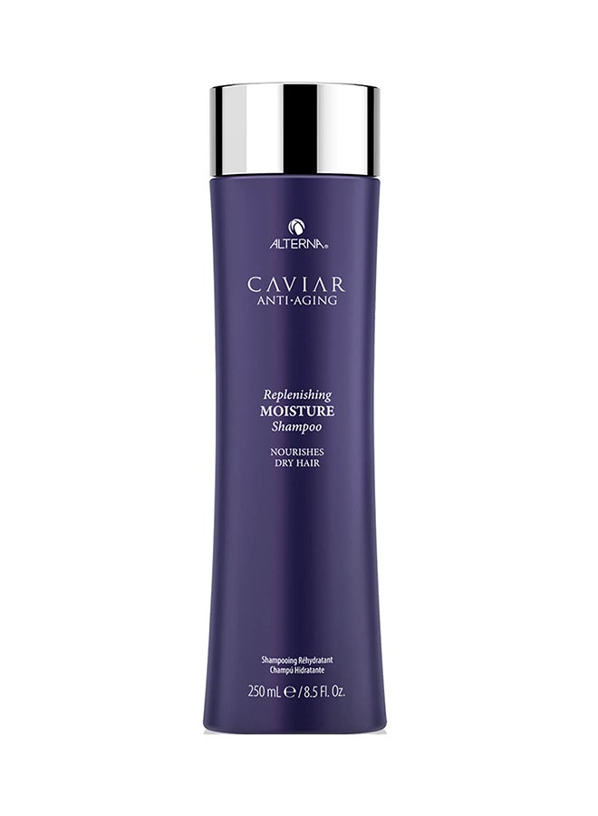 Caviar Replenishing Moisture Shampoo 250ml - v1555047096/N23111586A_1