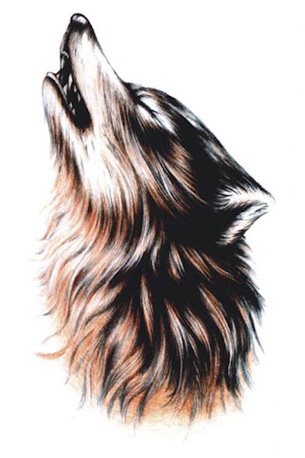 لاصقة تاتو مؤقتة للجسم أسود/بني - Image 2