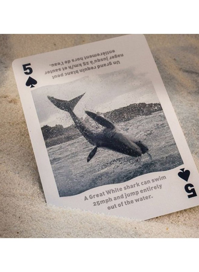 Shark Playing cards - v1555322662/N22473943A_3