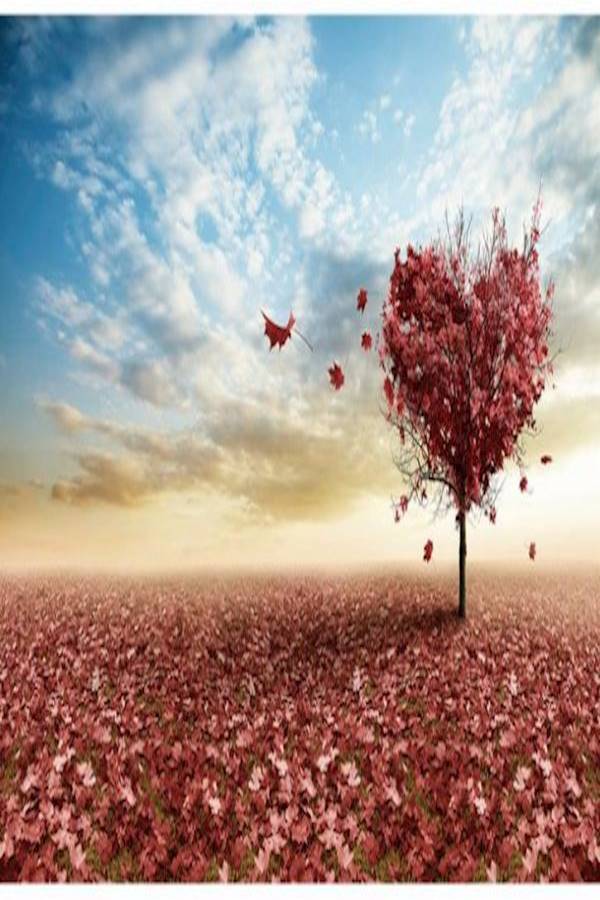 مجموعة أحجيات قطع تركيب خشبية مكونة من 1000 قطعة