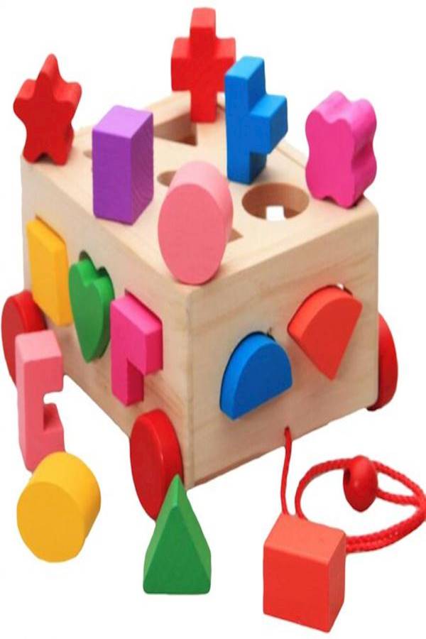 Intelligence Box For Shape Sorter Cognitive And Matching Wooden Building Block Set  - Image 1