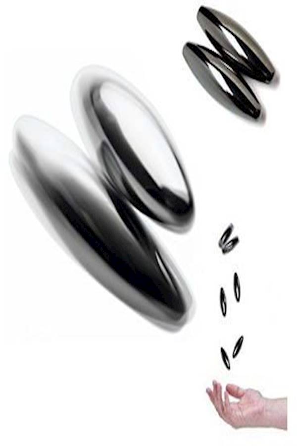 Rattlesnake Egg Buzz Magnets Set - Image 4