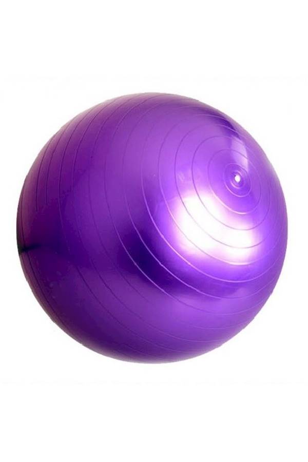 Kanteen Store Yoga Swiss Ball 65cm - Image 3