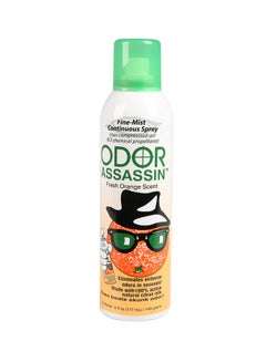 Odor Assasin Mountain Snow Scent 