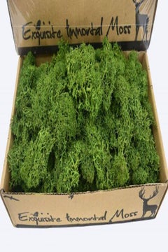 Yatai Exquisite Decoration Grass Green  - Image 1
