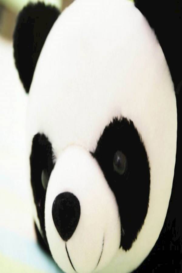 Cute Panda Plush Stuffed Toy 20cm - Image 2